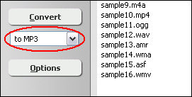 Choose Target File Format